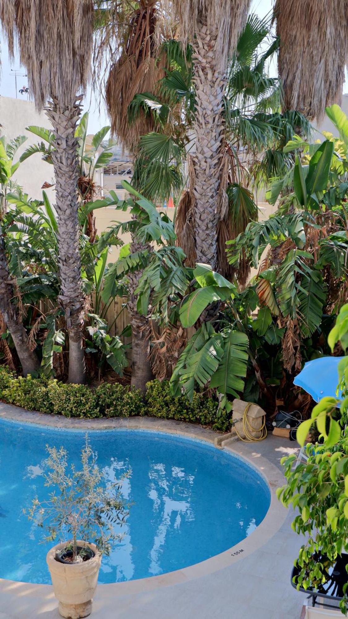 Village Knights Accommodation Żebbuġ Eksteriør bilde